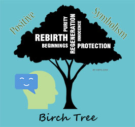 Birch Tree Symbolism  Birch Tree Meaning – Tree2mydoor