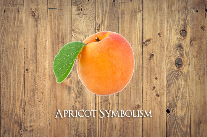10 Apricot Fruit Symbolism & Meaning: Zodiac, Superstitions, Dreams, and Myths