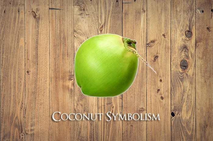 10 Coconut Fruit Symbolism & Meaning: Zodiac, Superstitions, Dreams, and Myths
